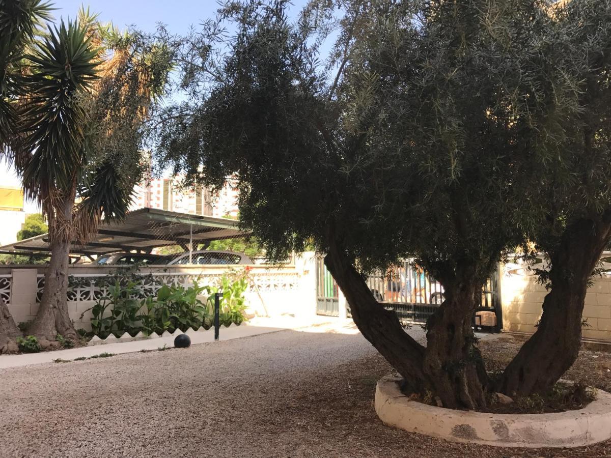 Apartamento En La Playa - Alicante, Costa Blanca - Los Olivos Luaran gambar