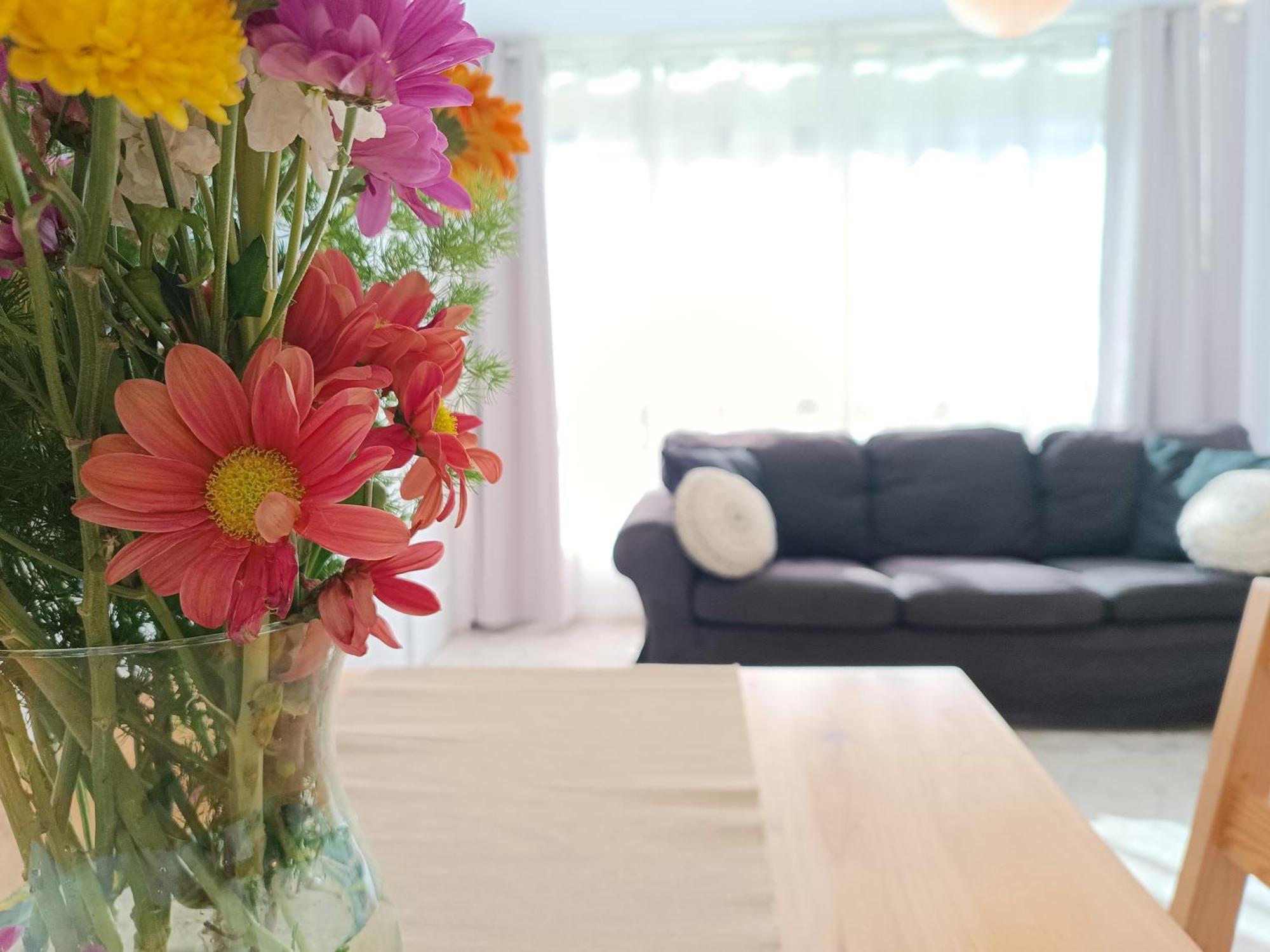 Apartamento En La Playa - Alicante, Costa Blanca - Los Olivos Luaran gambar